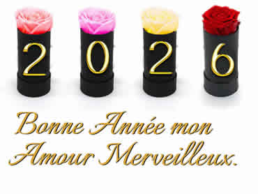 Cartes de voeux romantique de bonne année