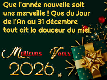 Cartes de voeux à personnaliser 2027