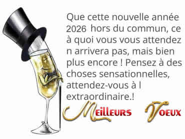 Carte de voeux à personnaliser de bonne année