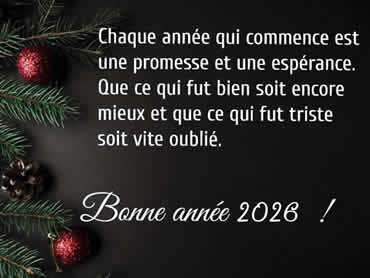 Cartes de voeux Amitie virtuelles de bonne année