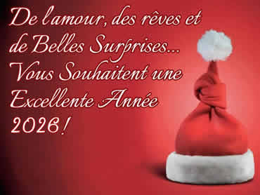 Cartes de voeux Humour virtuelles de bonne année