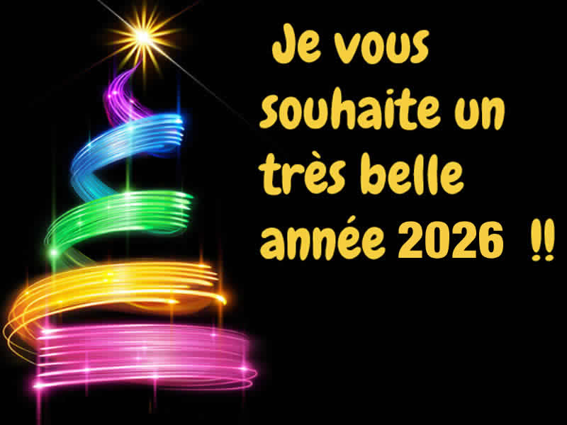 Cartes de vœux Sapin de Noël coloré personnalisées