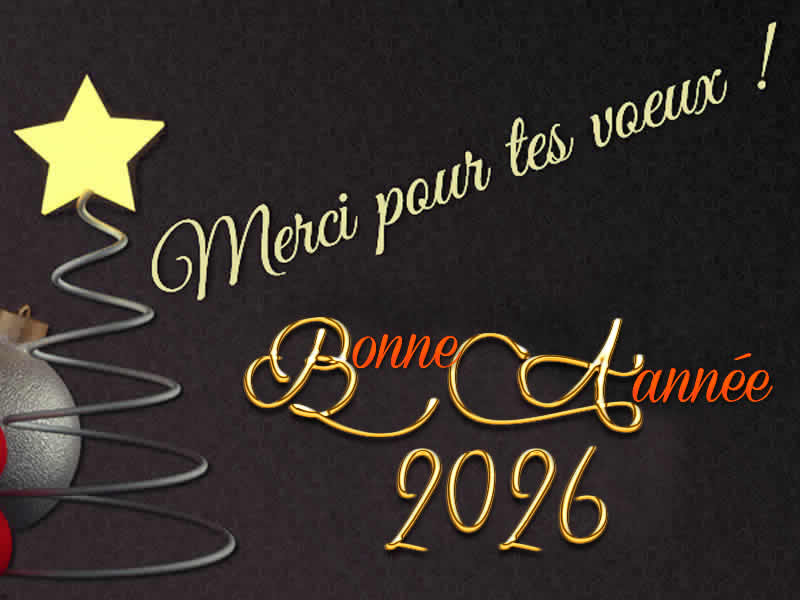 Merci voeux personnalisées