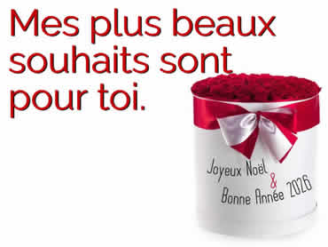 Cartes de voeux virtuelles de bonne année