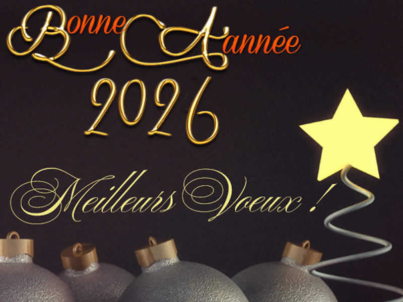 Carte de voeux 2026 à personnaliser, élégante pour ses amis