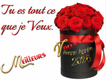 Cartes de vœux à personnaliser