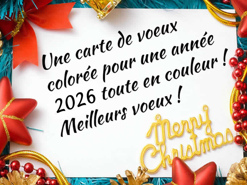 Cartes de vœux amusantes personnalisées 2027 toute en couleur