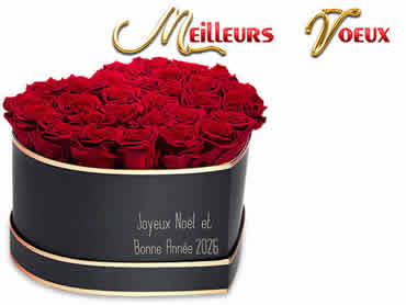 Cartes de Noël personnalisées: Beaucoup de vœux de Noël avec des roses rouges.