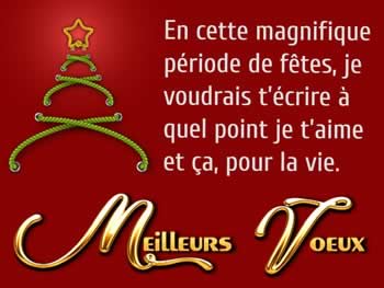 Cartes de Noël personnalisées: En cette magnifique période de fêtes, je voudrais t’écrire à quel point je t’aime et ça, pour la vie