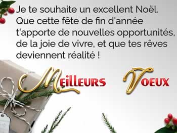 carte de voeux entreprise Noel 2025: Je te souhaite un excellent Noël. Que cette fête de fin d'année t'apporte de nouvelles opportunités