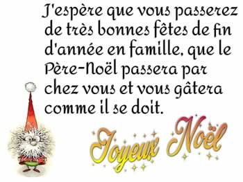 Cartes de Noël personnalisées: J'espère que vous passerez de très bonnes fêtes de fin d'année en famille