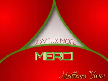 Cartes de Noël personnalisées: Joyeux Noël, Mercì, Meilleurs voeux.