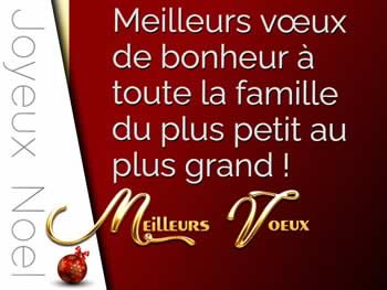 Cartes de Noël personnalisées: Meilleurs vœux de bonheur à toute la famille du plus petit au plus grand !.