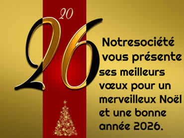 Exemples de carte de Noel à personnaliser en ligne, en remplaçant Notre Société par le nom de votre entreprise, vos souhaits sont exaucés. 