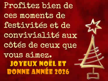 Cartes Joyeux Noël et Bonne Année 2026: Profitez bien de ces moments de festivités et de convivialité aux côtés de ceux que vous aimez.