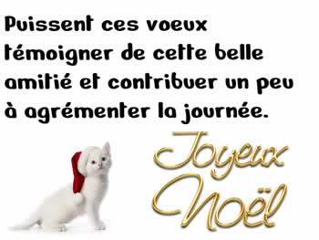 Cartes de Noël personnalisées avec un chat blanc portant un chapeau de père noël