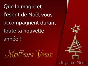 Cartes de Noël personnalisées: Que la magie et l'esprit de Noël vous accompagnent durant toute la nouvelle année !