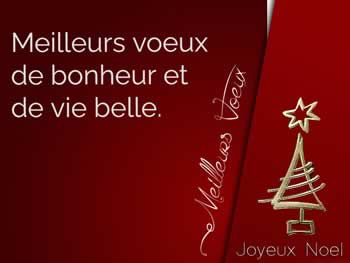 Cartes de Noël personnalisées: Meilleurs voeux de bonheur et de vie belle. Joyeux Noël.