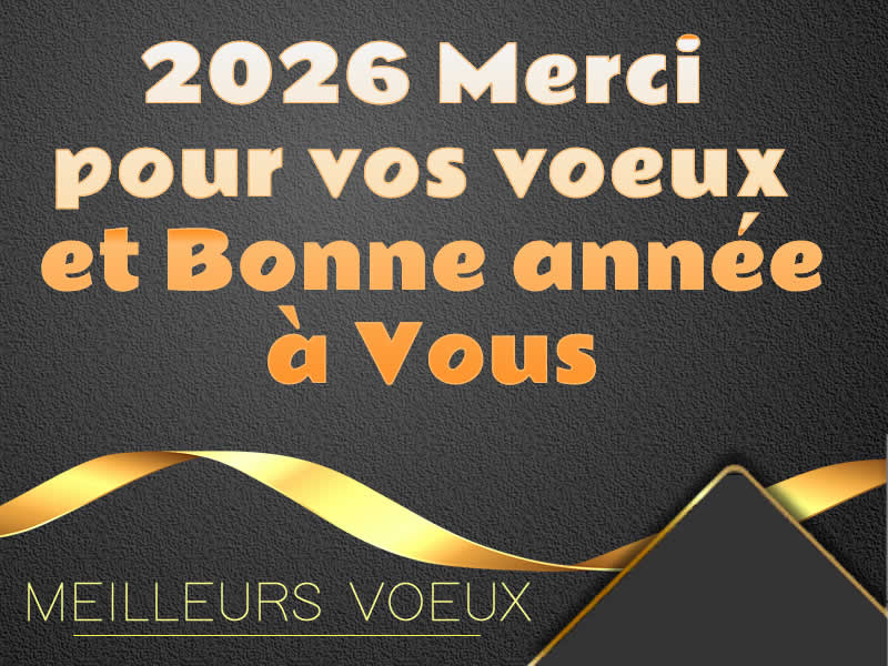 Cartes de remerciements voeux : 2026 Merci pour vos voeux et Bonne année à Vous.