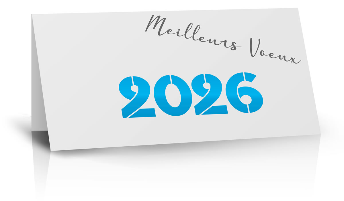 Carte De Vœux Nouvel An 2026 Luxe - Papier Nacré 400g, Dorure à Chaud, Enveloppe Et Sceau Cire Inclus